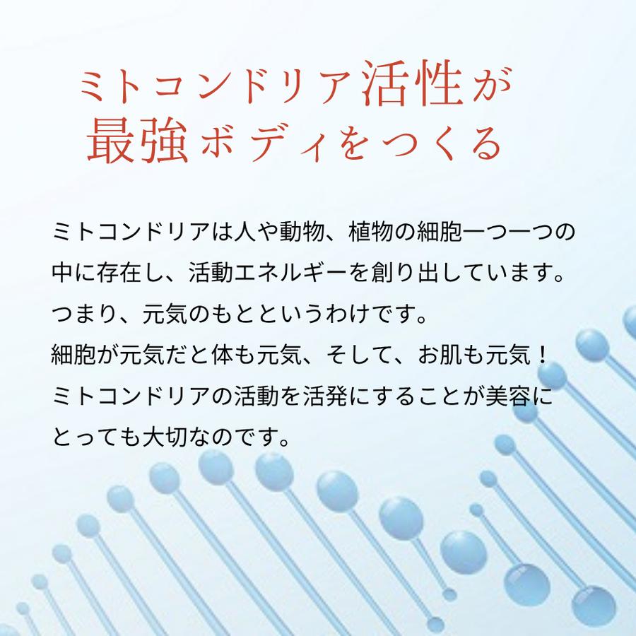 インターナルリセット フォーミュラ０５ ～インパクトボディバーン～（６０包）ダイエット＆エイジングケアサプリメント