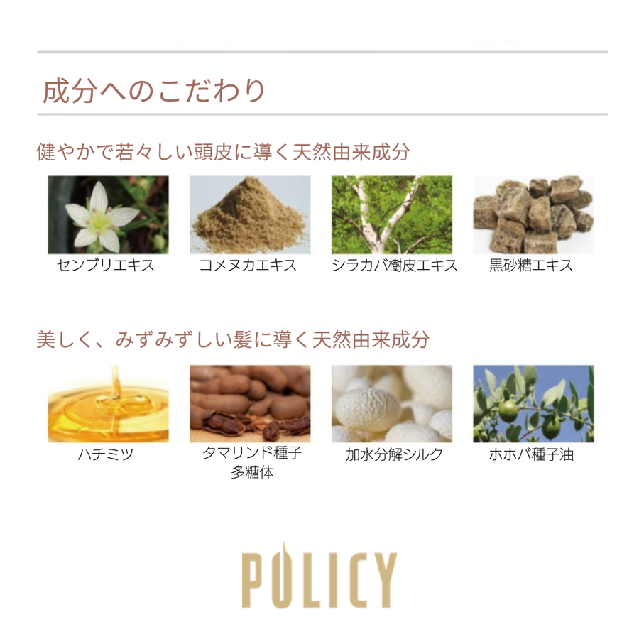 ポリシー エコロアルゲ ヘアシャンプー＆ヘアパックセット（各３１０ｍｌ）