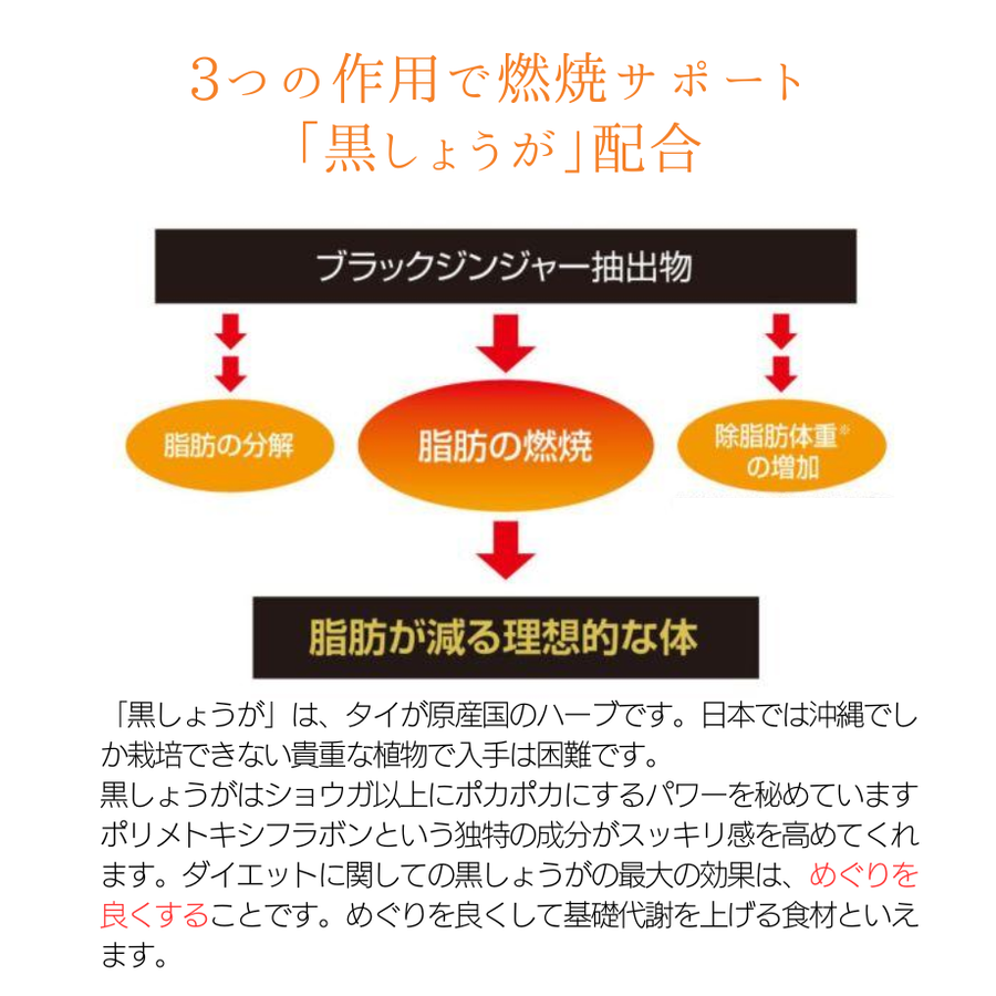 ＆Ｒａｔｉａ アンドラティア プレミアムファットバーントリプル／ＮＥＷ（３０包）燃焼補助サプリメント