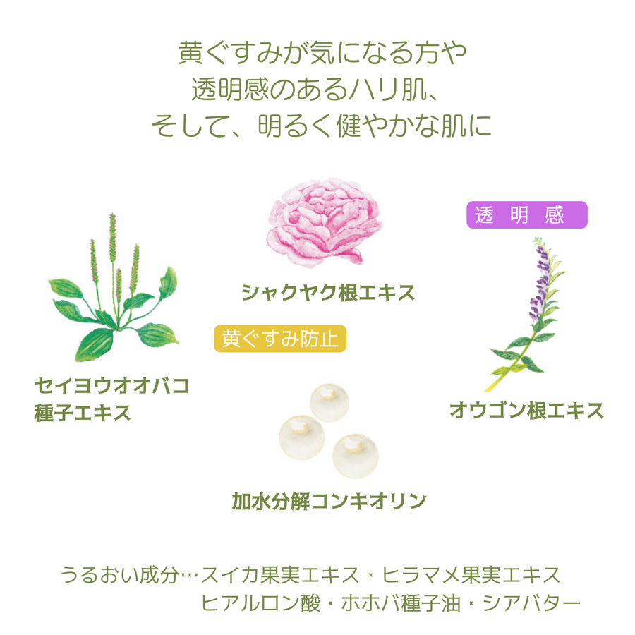 ポリシー ヌーディリキッドファンデーション（３０ｇ）