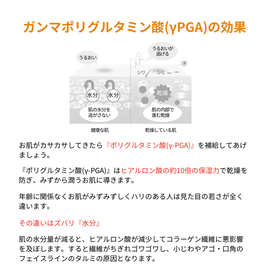 デルフェプラスγーＰＧＡ５０００キャリア（５００ｍｌ）プロユース導入美容液