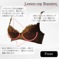 エレモア　レモンカップ　ブラジャー　補正下着　バストアップ エレモア レモンカップ ブラジャー 補正下着 バストアップ 【公式通販】