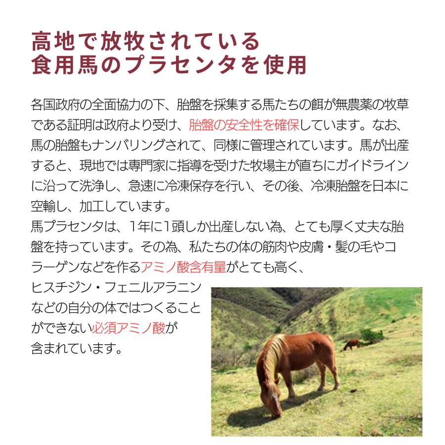 フジスコ プレミアム３０００００（５００ｍｌ）高濃度馬プラセンタエキス