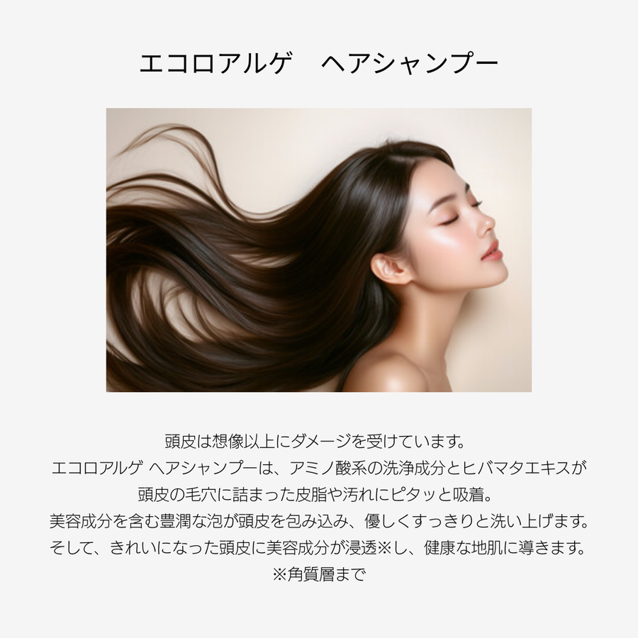 ポリシー エコロアルゲ ヘアシャンプー＆ヘアパックセット（各３１０ｍｌ）
