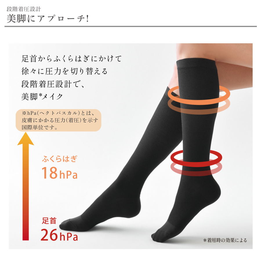 Ｂｅ-ｆｉｔ ビーフィット 燃活サポート 美脚ソックス／２足組（ブラック）光電子®繊維 ３６０デニール