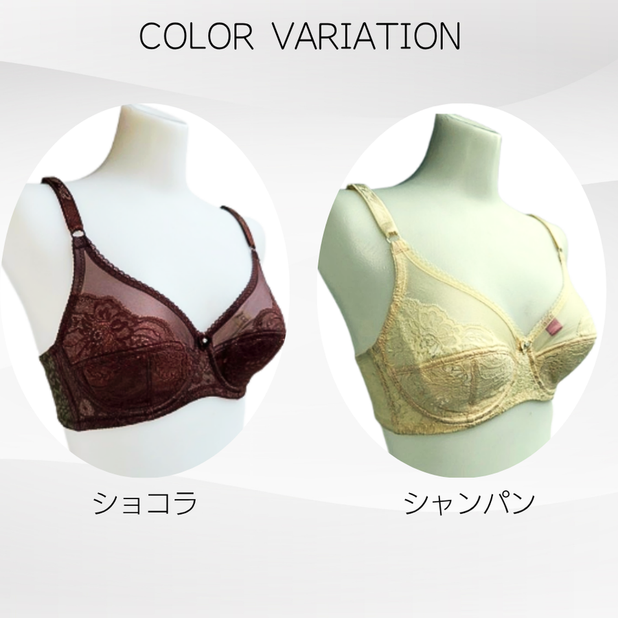 ＥｌｅＭｏｉ エレモア フルカップブラジャー／シャンパン・ショコラ（カラー２色）