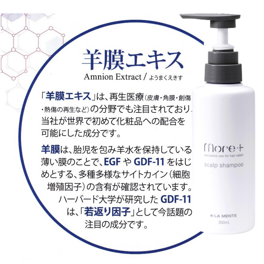 モアプラス スカルプシャンプー＆スカルプトリートメントセット（各３００ｍｌ）