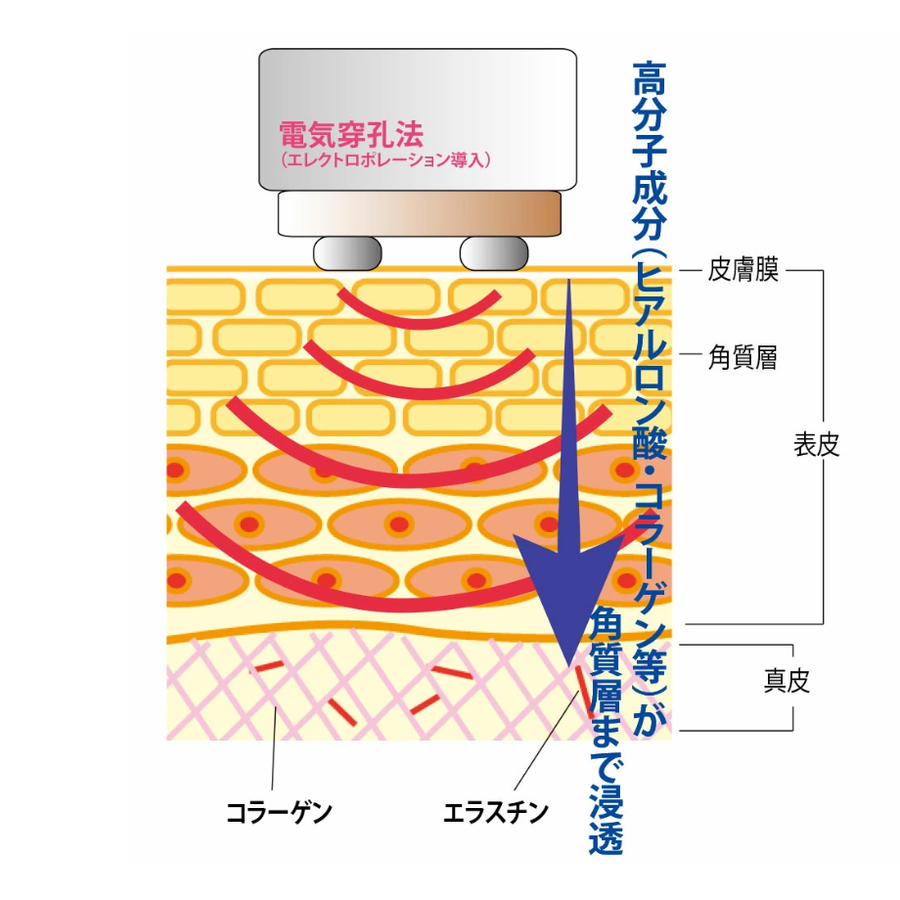 ＥｌｅＭｏｉ エレモア 育毛液ＢＬボーテ／医薬部外品（１５０ｍｌ）