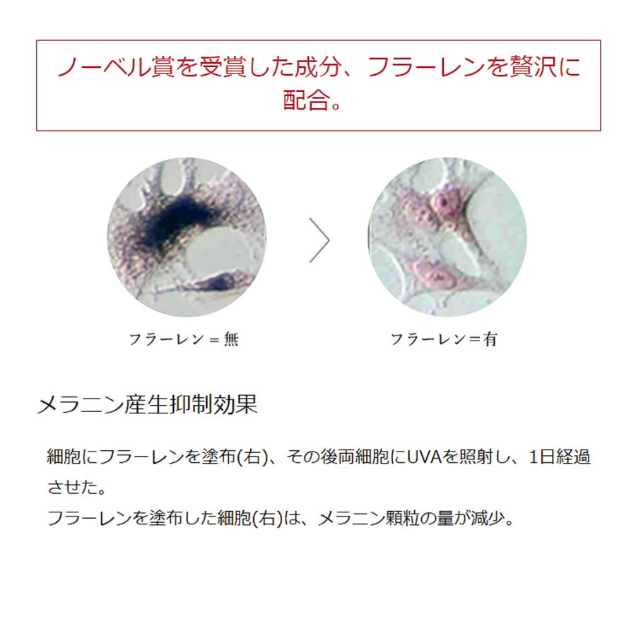 ＤＲ.ＳＯＩＥ ドクターソワ ＡＰＰ－Ｃ フラセラム／ドクターズコスメ（３０ｍｌ）フラーレン・ビタミンＣ配合美容液