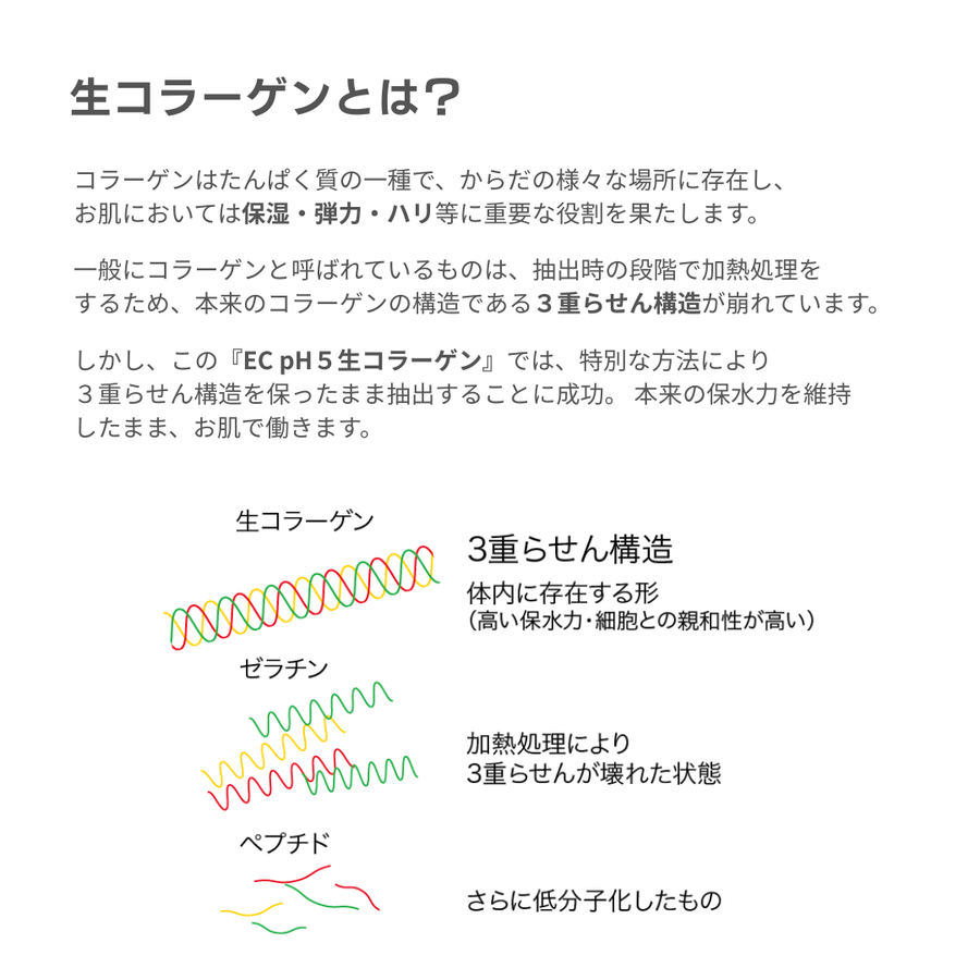 ＥＣ ｐＨ５ 生コラーゲン（６０ｍｌ）サロンユース生コラーゲン美容液