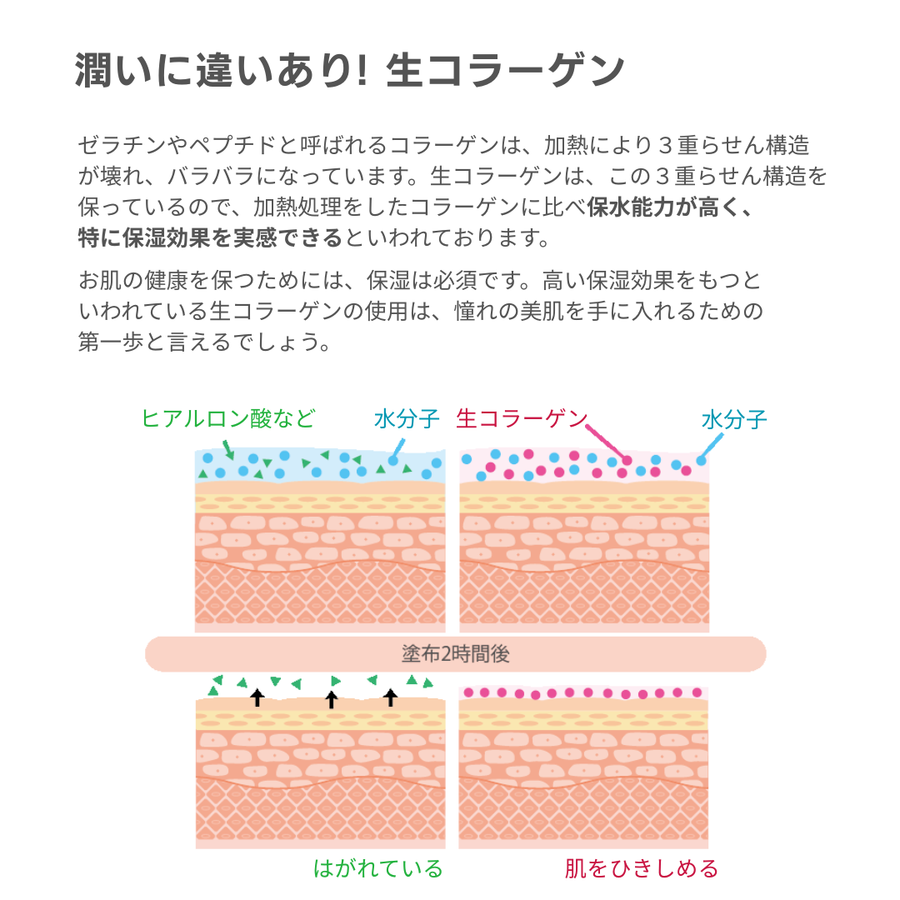 ＥＣ ｐＨ５ 生コラーゲン（６０ｍｌ）サロンユース生コラーゲン美容液