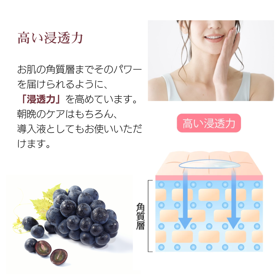 ｉＧＳ４０００Ｇｅｌ ジェル （１００ｇ） 特許成分 瞬芽ブドウ種子エキス成分配合