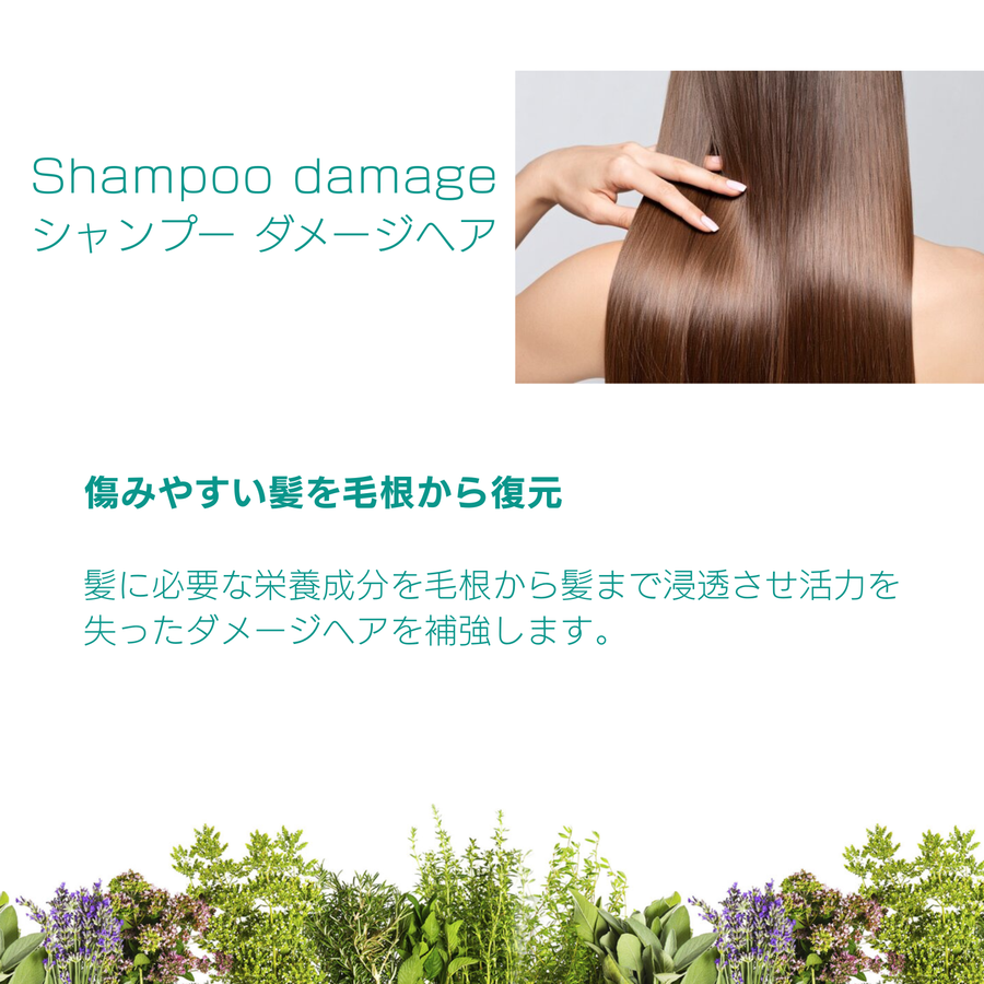 Ｍｉｒｒａ ミラー シャンプー＆ヘアパックセット ダメージヘア回復用（シャンプー２５０ｍｌ／ヘアパック１５０ｍｌ）