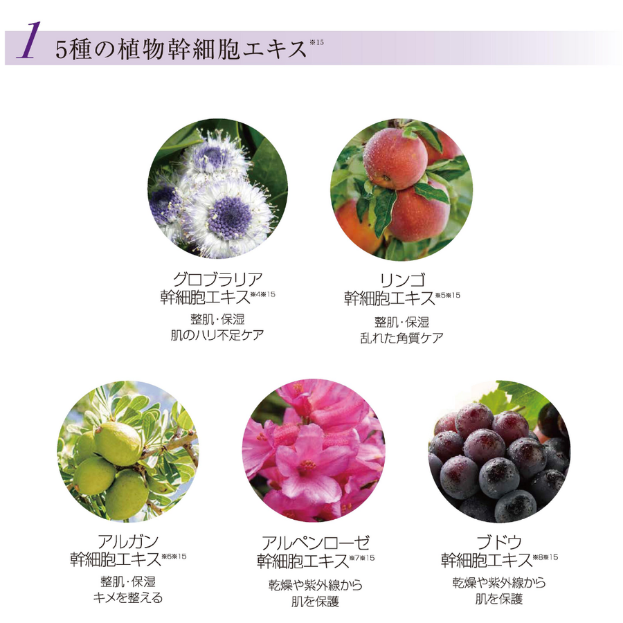 ＰＥ ザ ベガス（３０ｍｌ） 導入保湿美容液