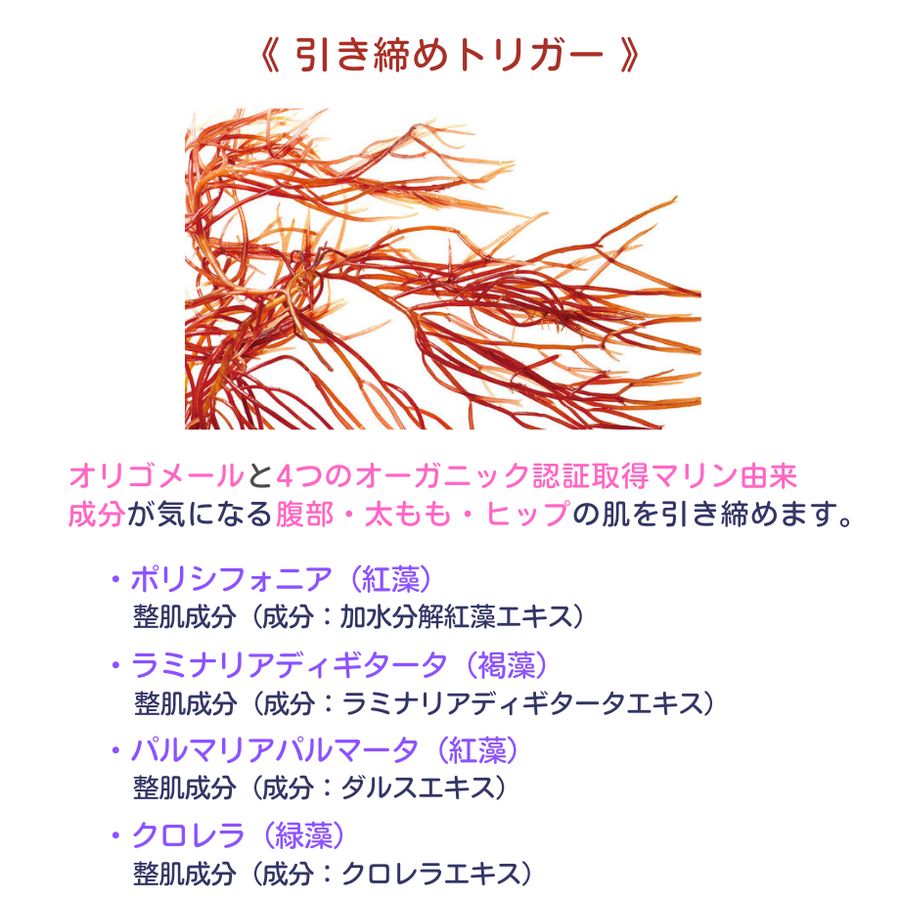 ＰＨＹＴＯＭＥＲ フィトメール Ｐ５コンセントレイトローション（１５０ｍｌ）痩身ジェルローション