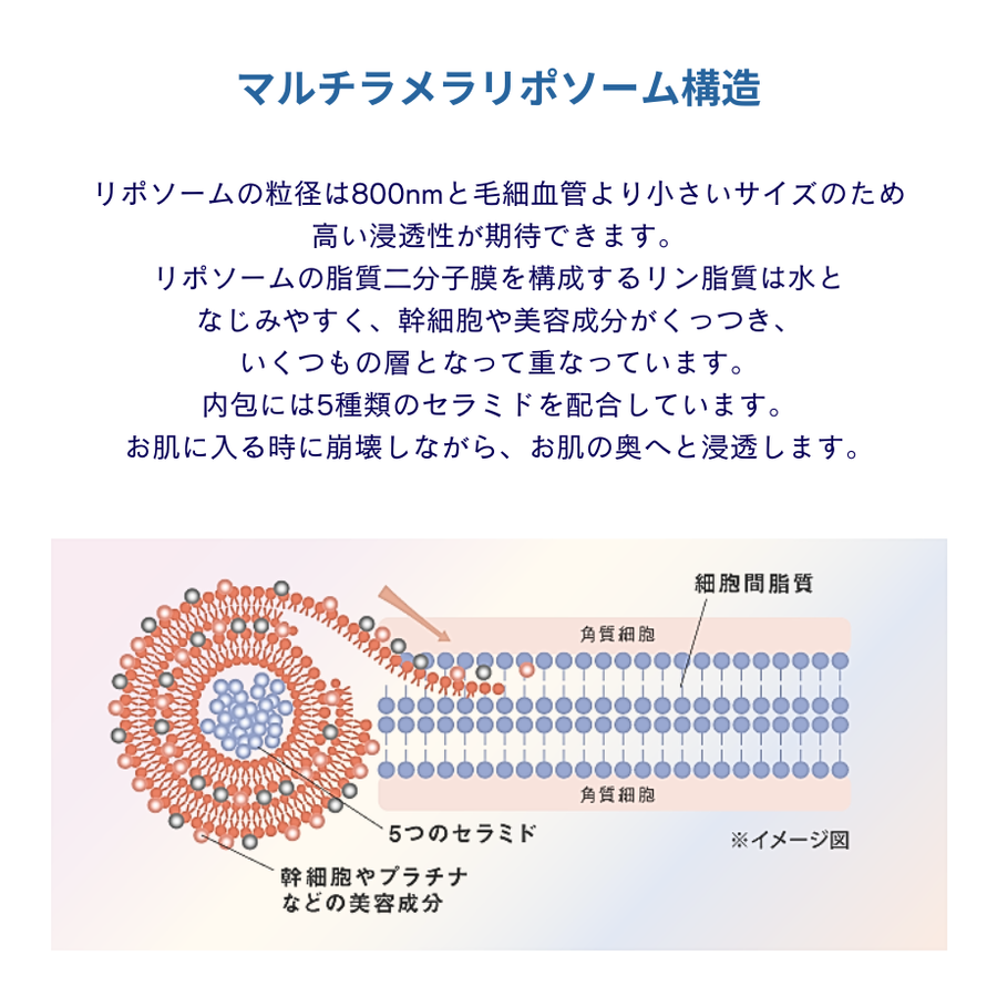 ラシンシア アクアゲル プラチナム ＳＣＦセラム（３０ｍｌ）幹細胞由来エキス美容液