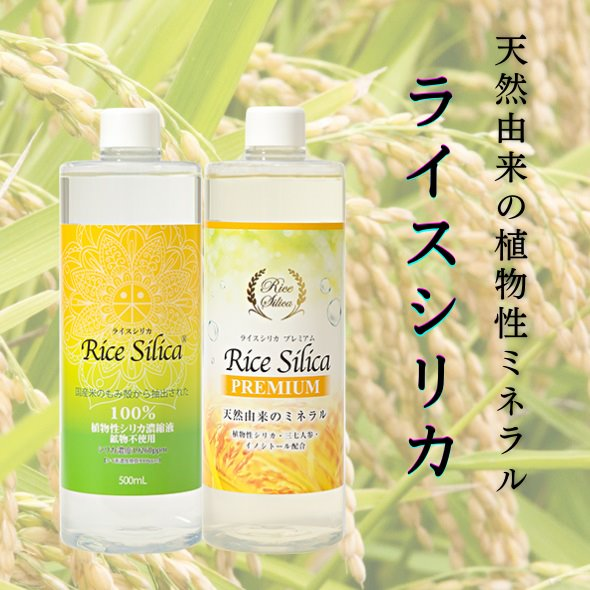 ライスシリカ（５００ｍｌ）キャンペーン価格 シリカ ケイ素 ミネラル 特許製法 植物性 濃縮液 生活習慣病 アレルギー 肌 髪 爪 安全性 健康 美容