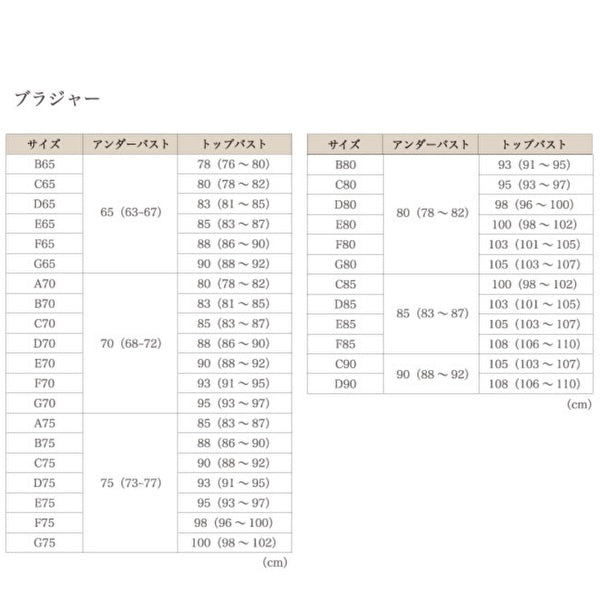 エルローズ　Divage　ディヴァージュ　ブラジャー３／４カップ　（カラー３色）　ＮＥＷ　補正下着・光電子繊維バスト