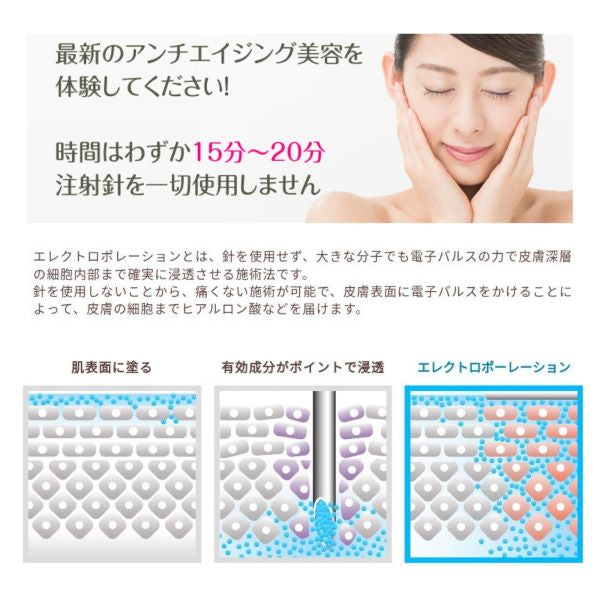 D.Pメソポレ D.P MesoPola ホームエステエレクトロポレーション フェイシャル シミ シワ タルミハリ バスト トリートメント ノーニードル ヒアルロン酸美容成分 エステ お手入れ