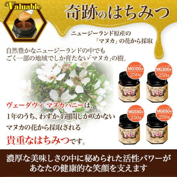 ヴェーダヴィ マヌカハニー ＭＧ３００＋ （２５０ｇ）×２個セット　健康維持 はちみつ 濃密 活性力 希少高グレード 貴重 添加物不使用 純粋 マヌカ 乳酸菌 酵素ポリフェノール アミノ酸