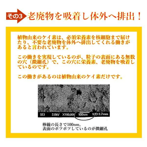 ライスシリカ（５００ｍｌ）キャンペーン価格 シリカ ケイ素 ミネラル 特許製法 植物性 濃縮液 生活習慣病 アレルギー 肌 髪 爪 安全性 健康 美容