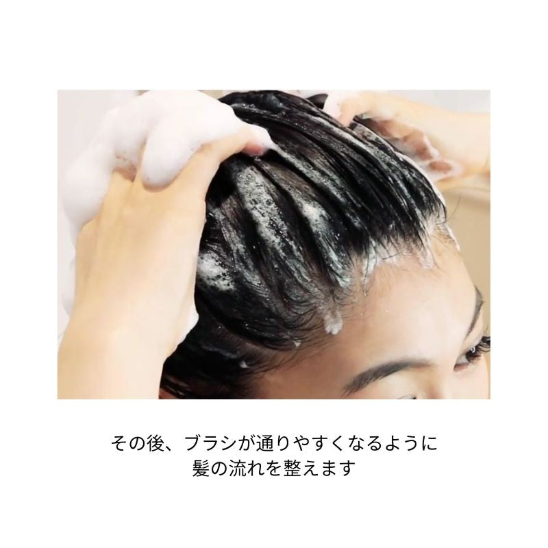 ＤＲ ＳＣＡＬＰドクタースカルプ ザブラッシュ NewＴＨＥ ＢＲＡＳＨ 進化型スカルプブラシ ブラッシングシャンプー クレンジング マッサージ 頭皮密着 毛穴汚れ ハリ コシ 髪艶 キューティク ルスタイリングボリューム