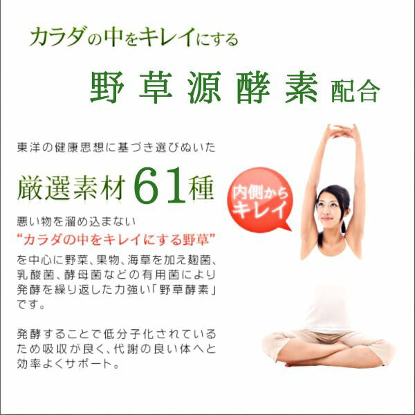 ゴールドプラセンタ 200000 （５００ｍｌ） プラセンタ無臭 野菜 果物 野草 発酵 ヒアルロン酸 キウイフルーツ味