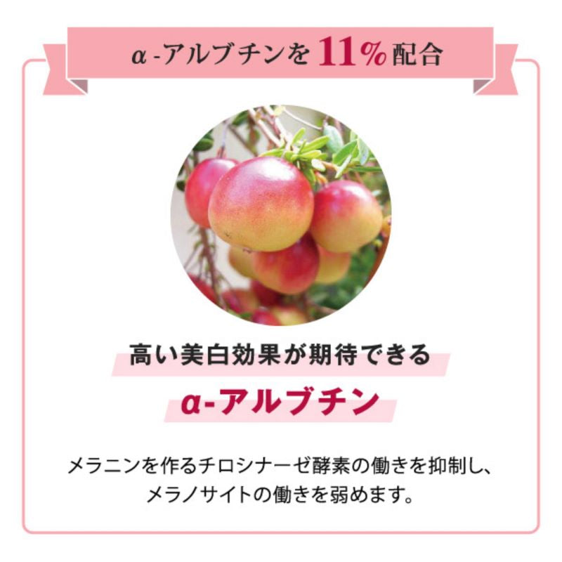 ラシンシア　リポデルム　レッドデュアＷＨ＋美白エッセンス業務用　（１００ｍｌ）　NEW　αーアルブチン 美白 透明感 高濃度イオン導入 エレクトロポレーション エステ シミ メラニン プロユース